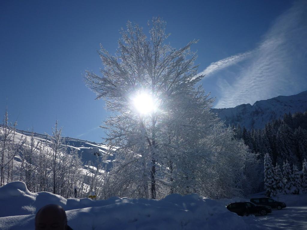 Appartementhaus Alpenrose Lejlighed *