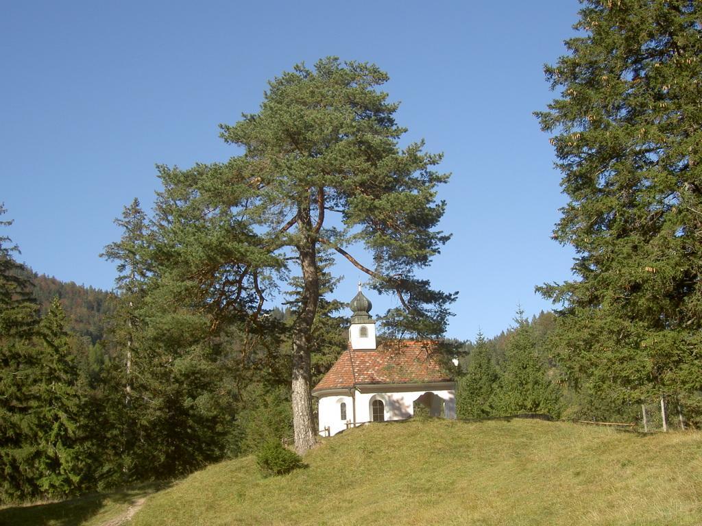 Apartment Appartementhaus Alpenrose *