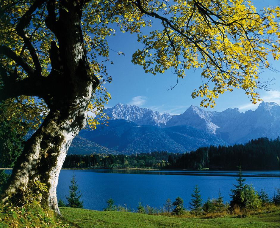 Lejlighed Appartementhaus Alpenrose *