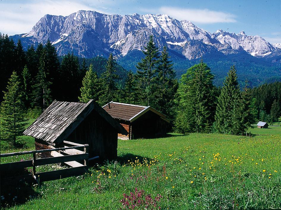 Apartment Appartementhaus Alpenrose Wallgau